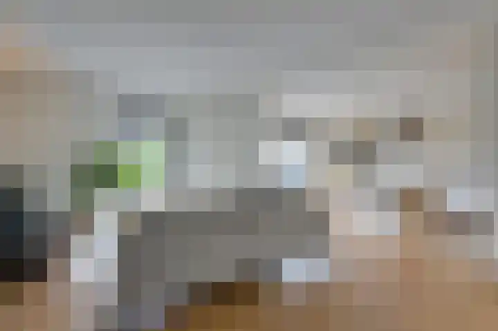 Churchillplein 9 Velp thumbnail 12