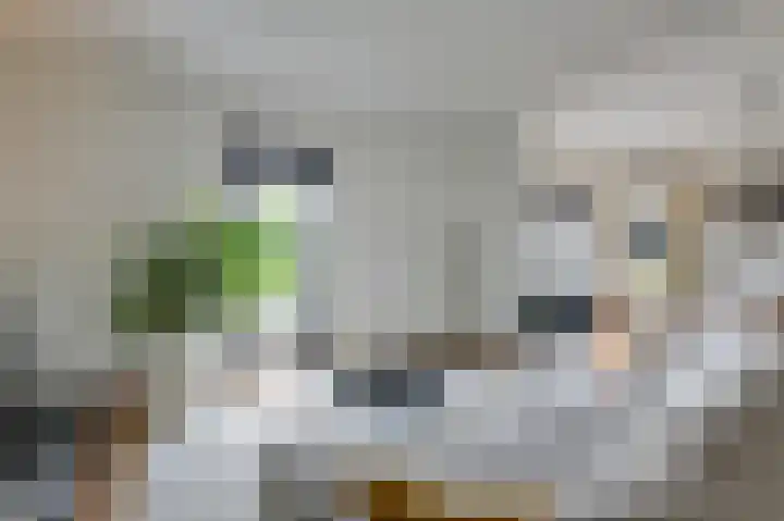 Churchillplein 9 Velp thumbnail 13