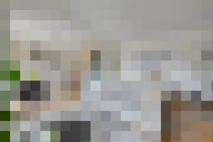Churchillplein 9 Velp thumbnail 14