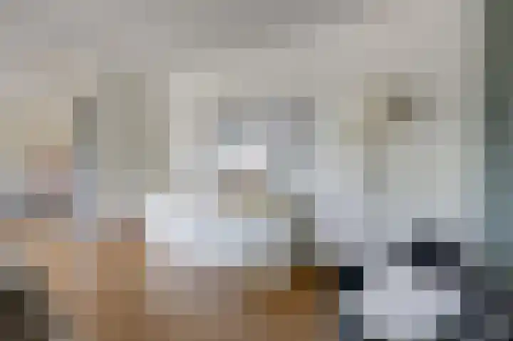 Churchillplein 9 Velp thumbnail 15