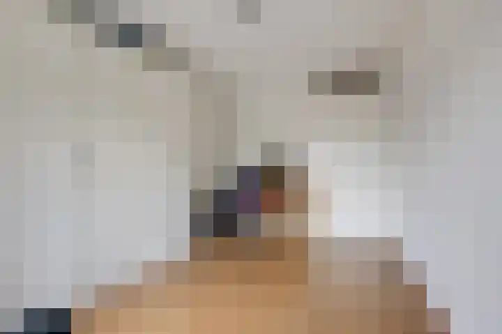 Churchillplein 9 Velp thumbnail 21