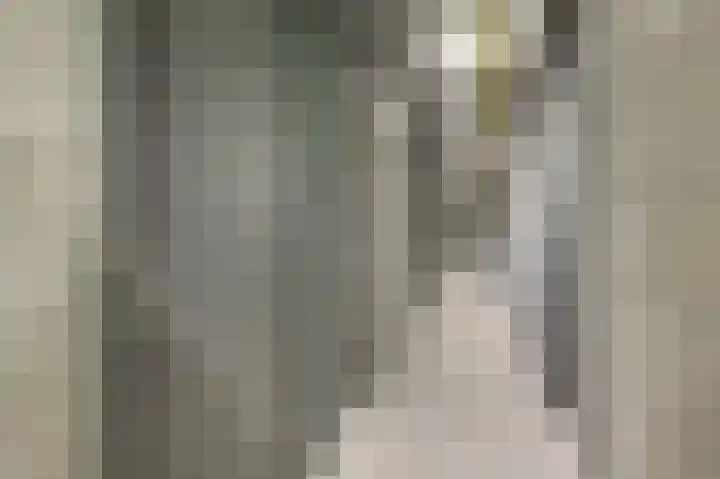 Churchillplein 9 Velp thumbnail 49