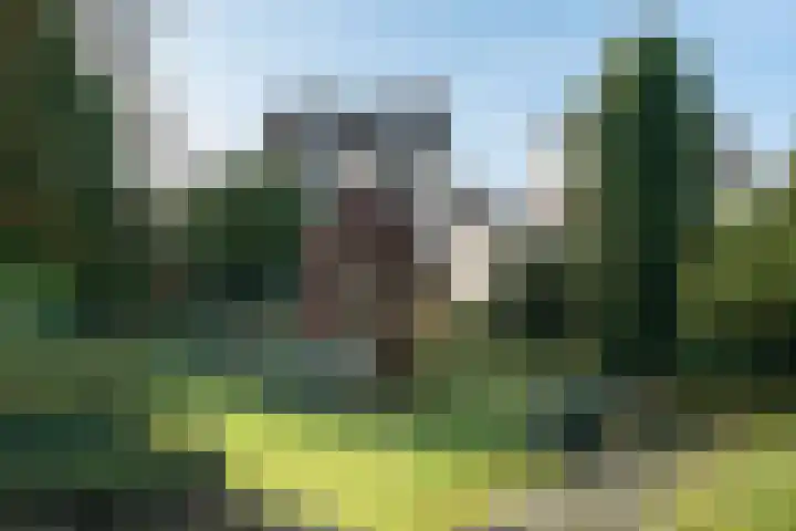 Churchillstraat 1 Ulestraten thumbnail 21