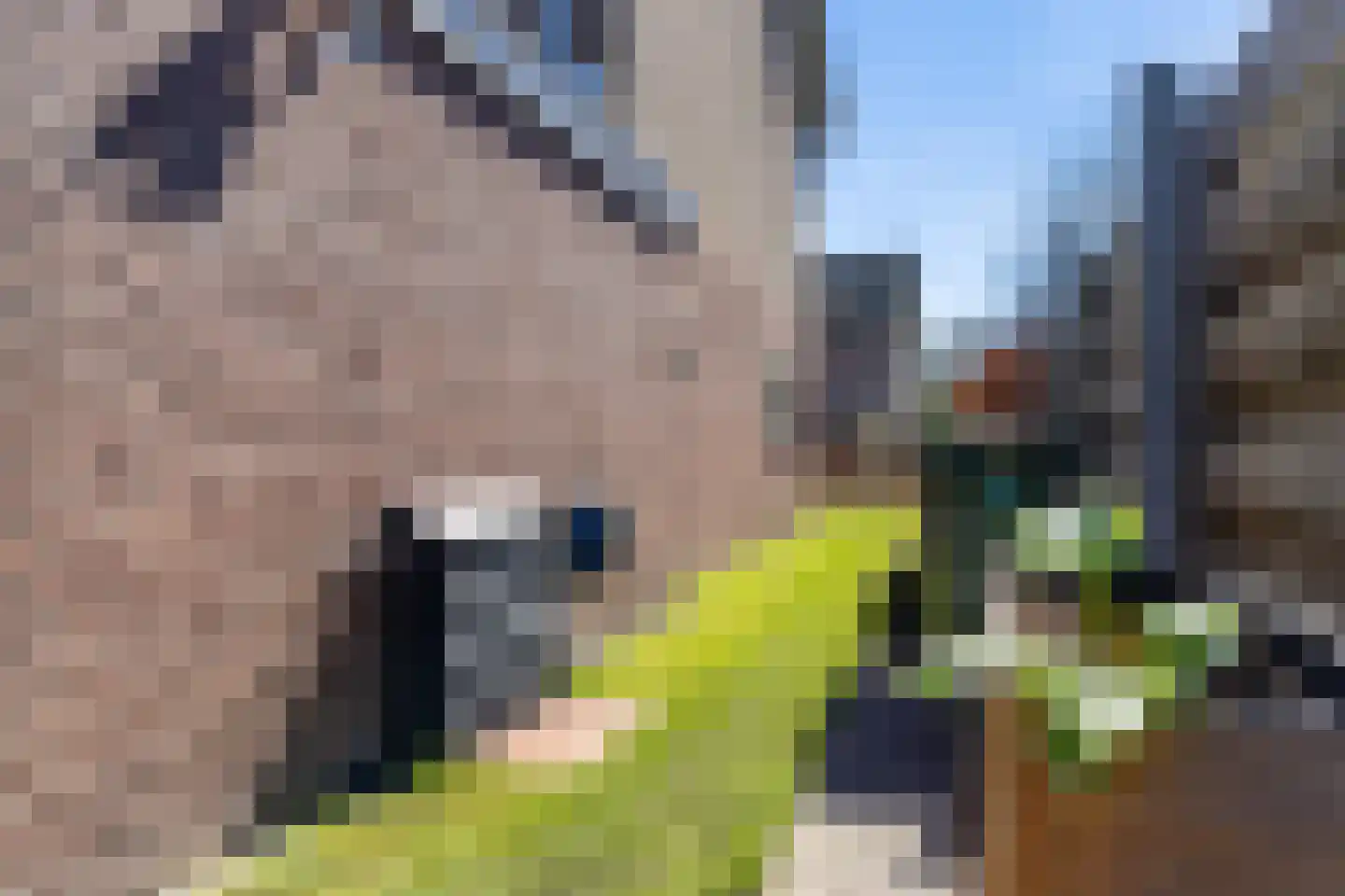 Churchillstraat 107 Holten thumbnail 35