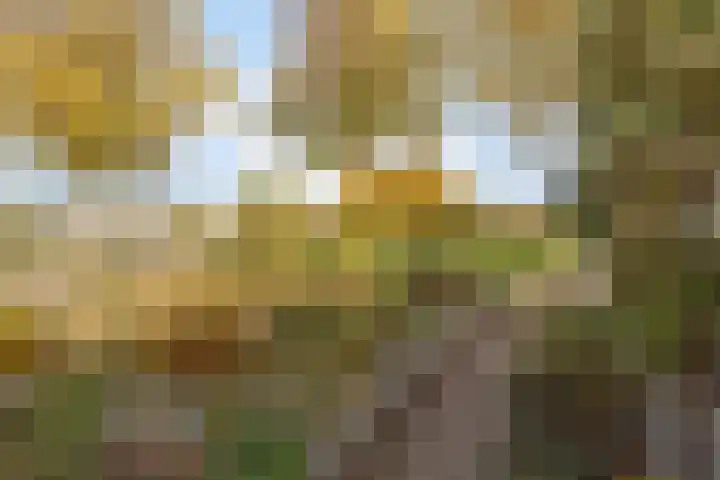 Churchillstraat 12 Berlicum thumbnail 42