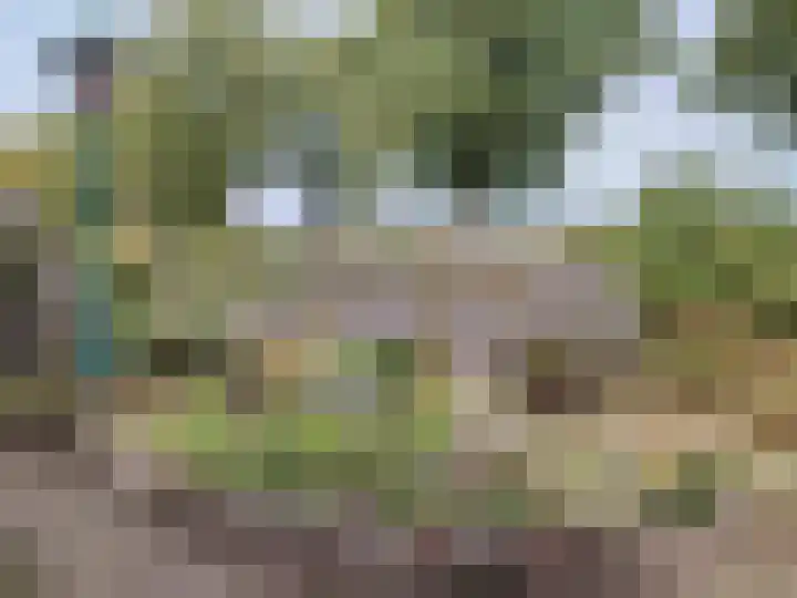 Churchillstraat 12 Berlicum thumbnail 46
