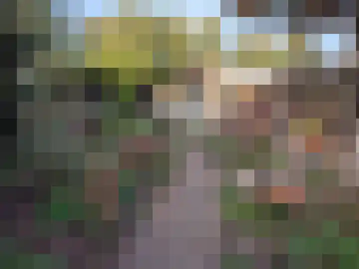Churchillstraat 12 Berlicum thumbnail 49