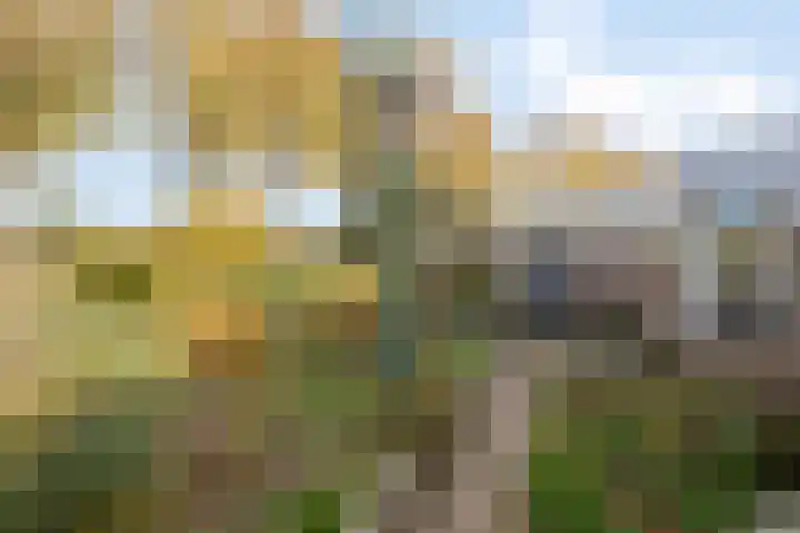 Churchillstraat 12 Berlicum thumbnail 5