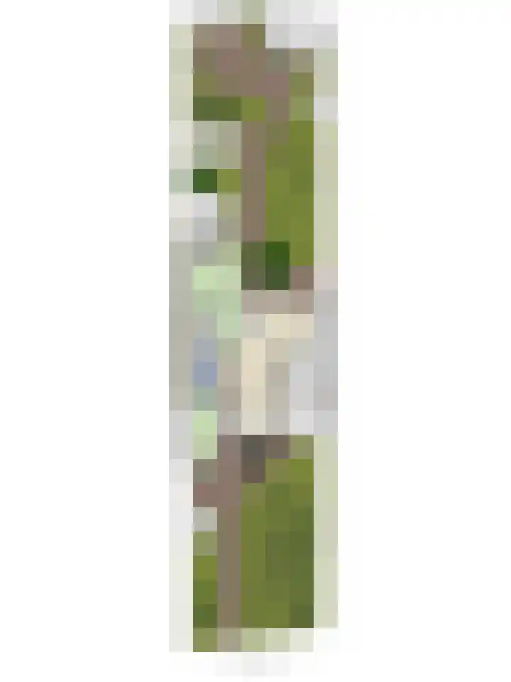 Churchillstraat 12 Berlicum thumbnail 56
