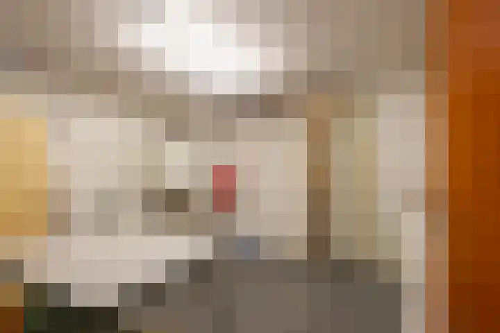 Churchillstraat 20 Hoensbroek thumbnail 23