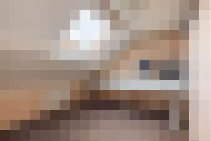 Churchillstraat 26 Holten thumbnail 30