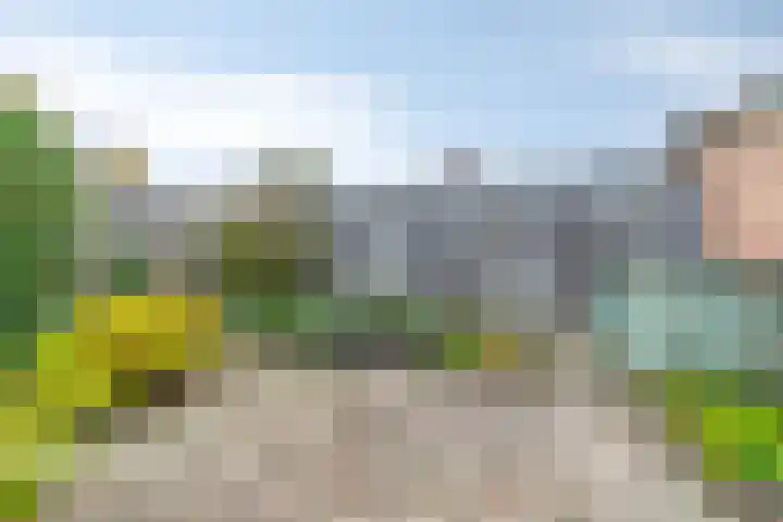 Churchillstraat 4 Venray thumbnail 32