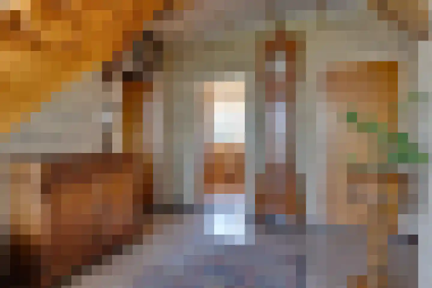 Churchillstraat 4 Zieuwent thumbnail 34