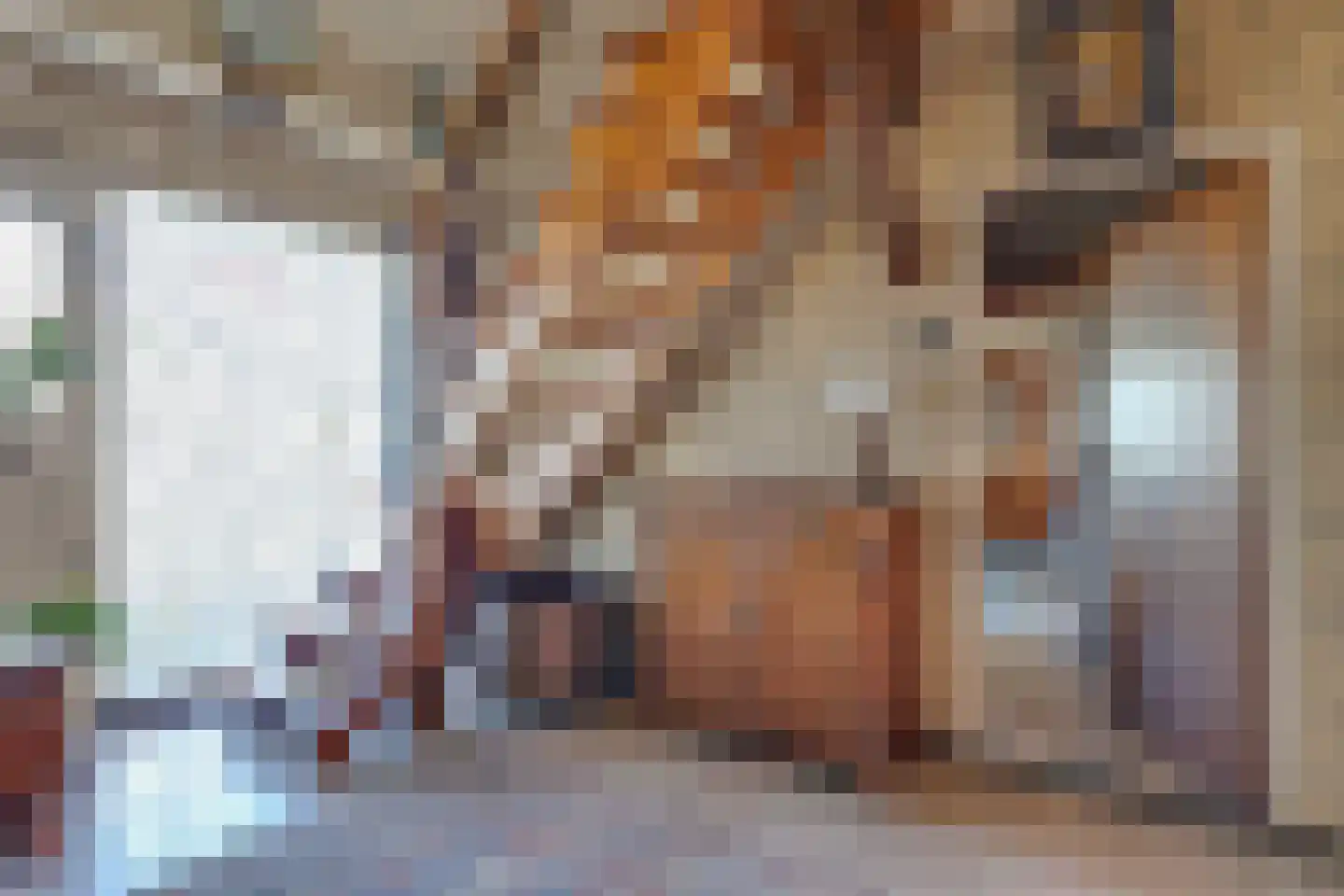 Churchillstraat 4 Zieuwent thumbnail 8