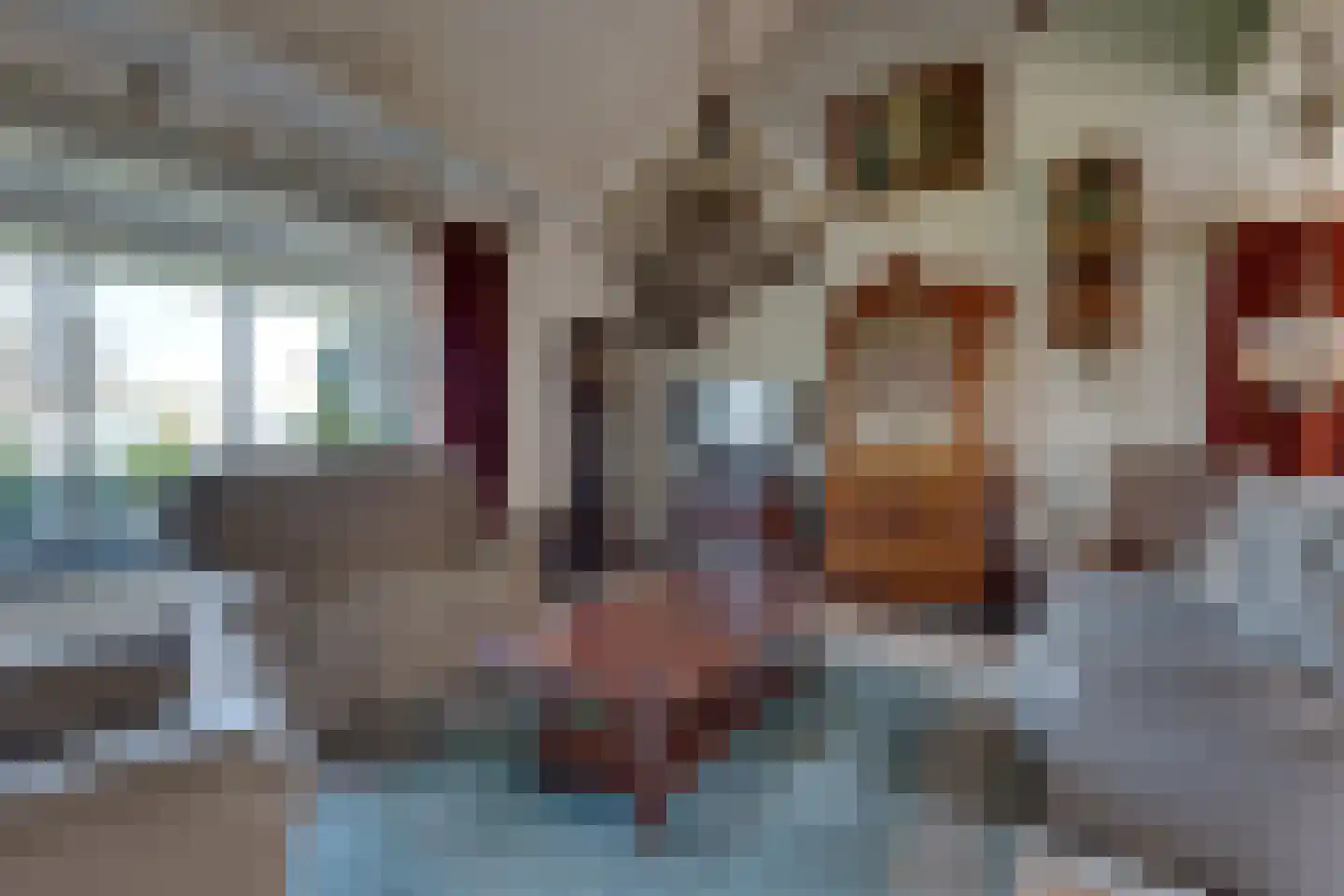 Churchillstraat 4 Zieuwent thumbnail 9
