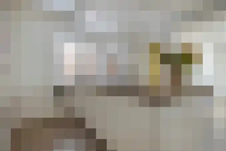 Churchillstraat 49 Denekamp thumbnail 21
