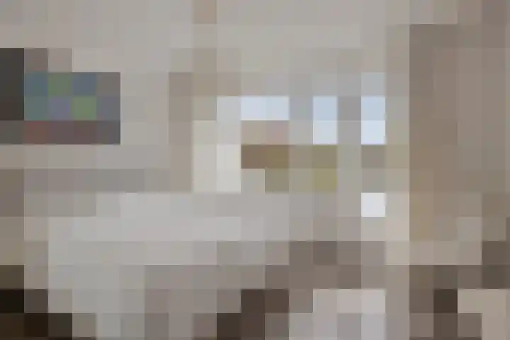 Churchillstraat 49 Denekamp thumbnail 29