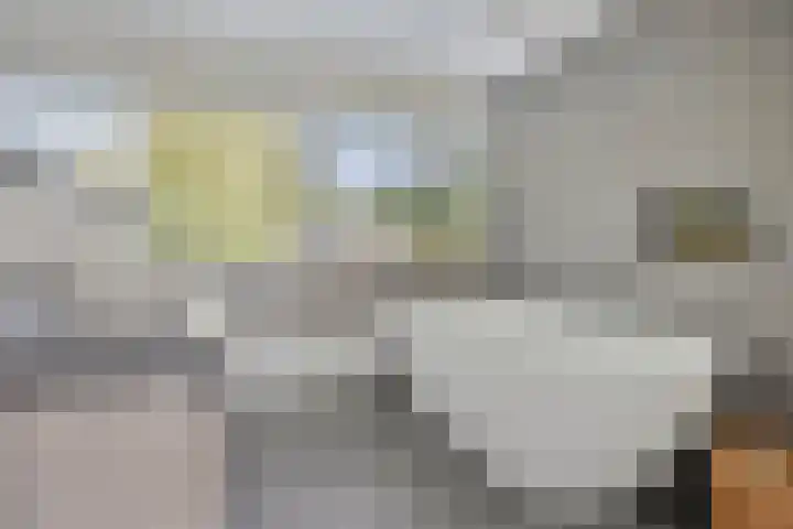 Churchillstraat 49 Denekamp thumbnail 31