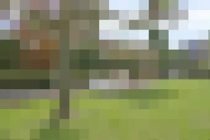Churchillstraat 49 Denekamp thumbnail 40