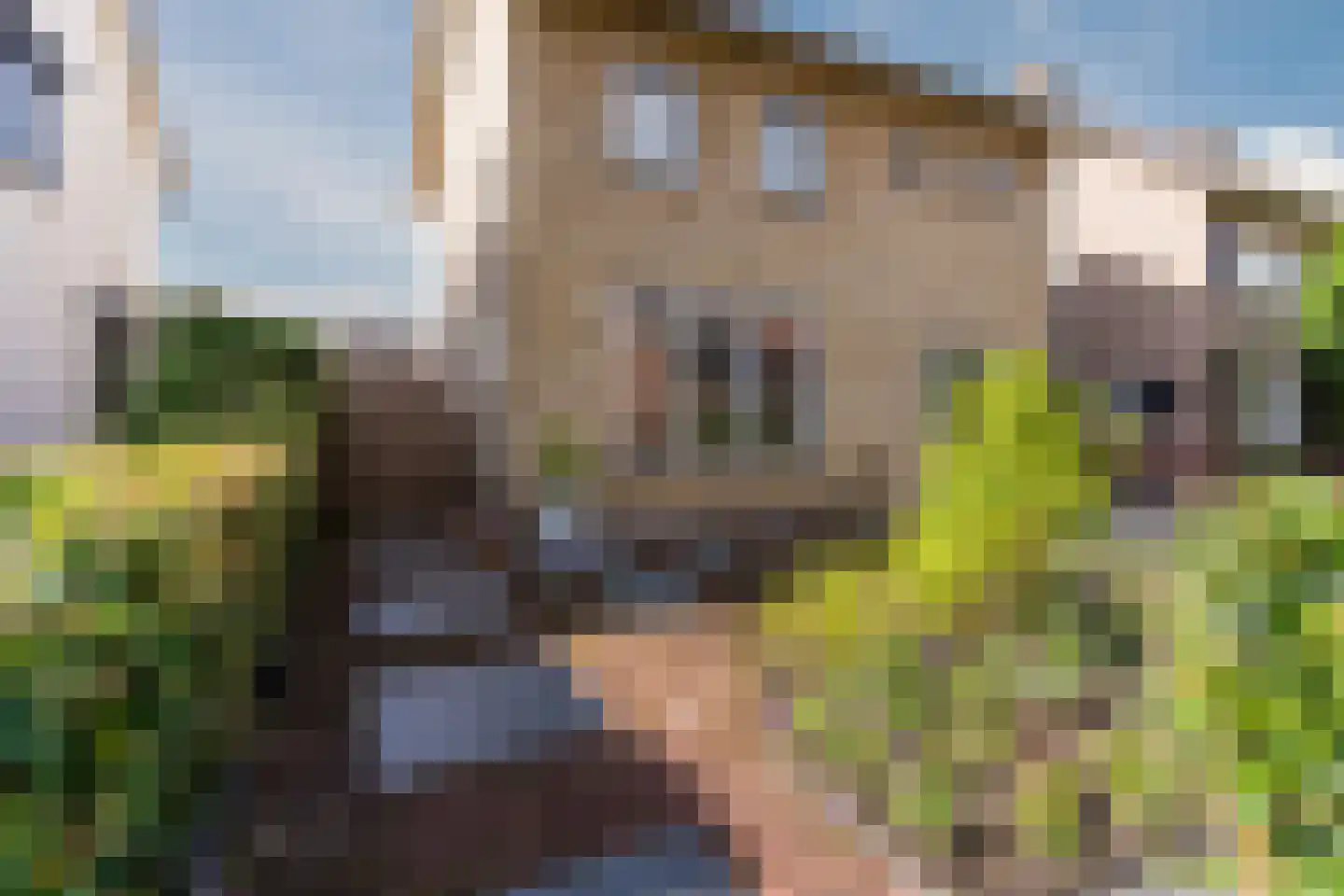 Churchillstraat 5 Boekel thumbnail 11