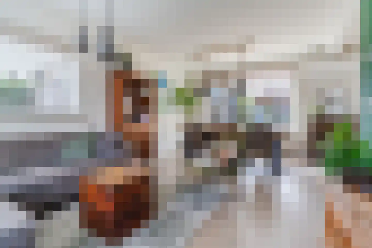 Churchillstraat 5 Boekel thumbnail 21