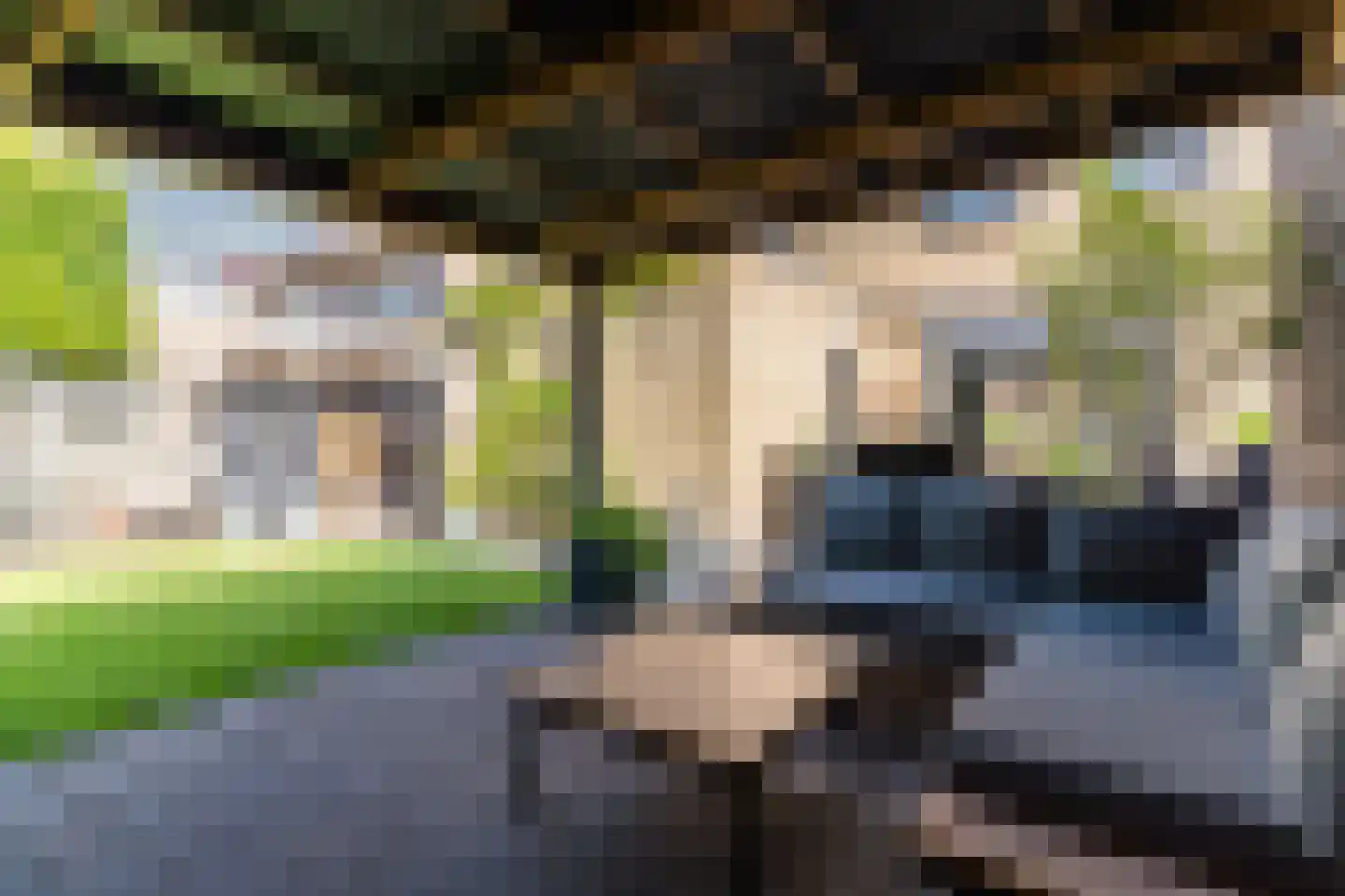 Churchillstraat 5 Boekel thumbnail 55