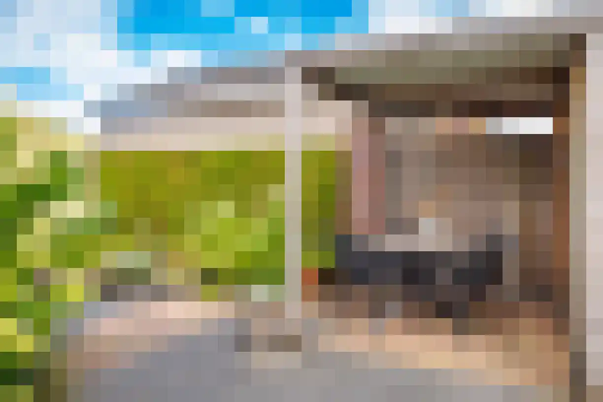 Churchillstraat 51 c Vroomshoop thumbnail 27
