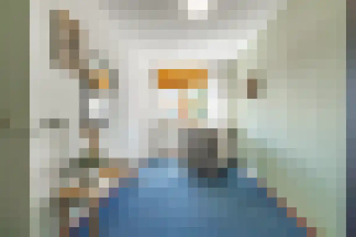 Churchillstraat 51 c Vroomshoop thumbnail 37