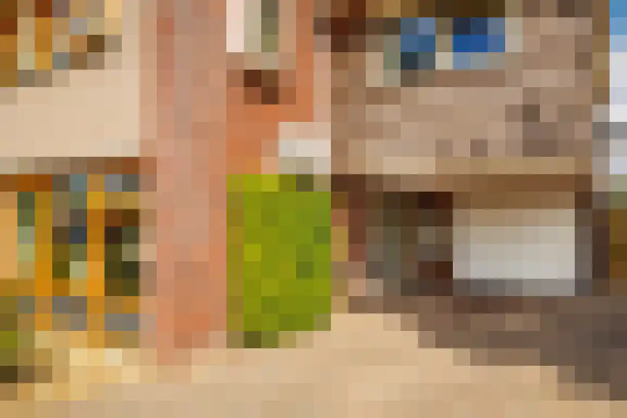Churchillstraat 51 c Vroomshoop thumbnail 7