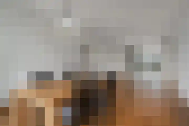 Churchillstraat 8 Berlicum thumbnail 6
