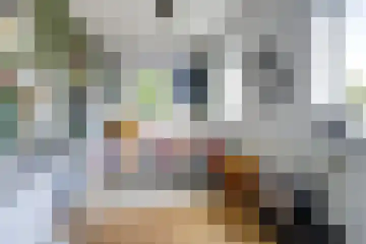 Churchillstraat 9 Dongen thumbnail 31