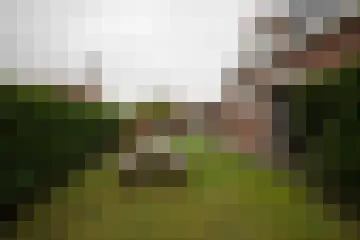 Churchillweg 27 Zoutkamp thumbnail 4