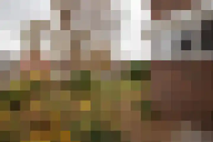 Churchillweg 27 Zoutkamp thumbnail 44