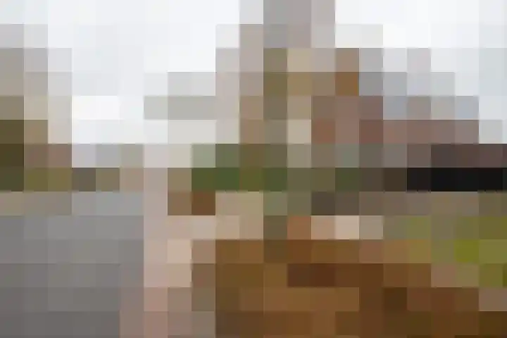 Churchillweg 27 Zoutkamp thumbnail 45