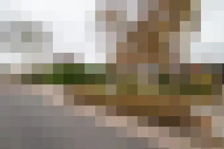 Churchillweg 27 Zoutkamp thumbnail 46