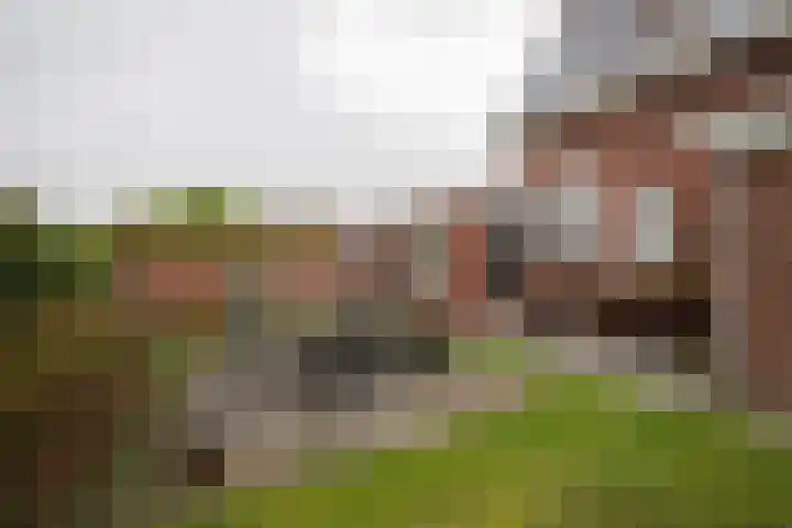 Churchillweg 27 Zoutkamp thumbnail 5