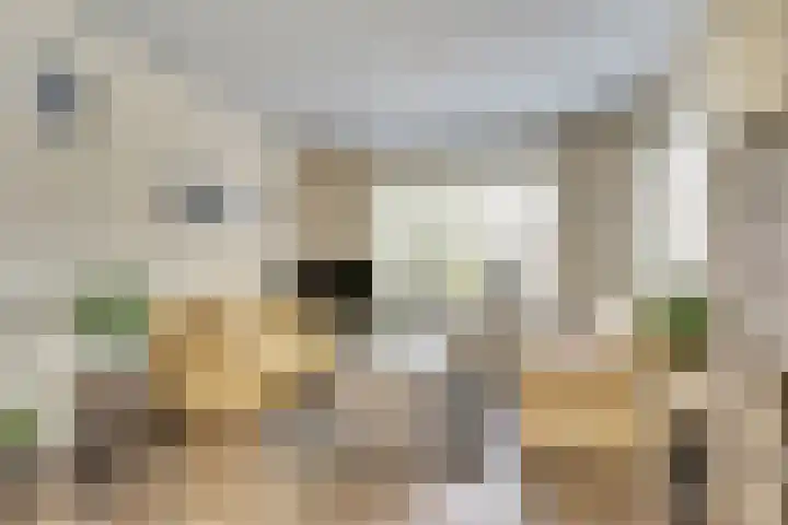 Churchillweg 42 A Zoutkamp thumbnail 8