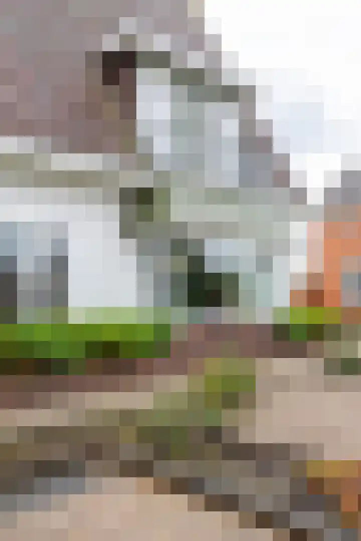 Churchillweg 44 Zoutkamp thumbnail 4