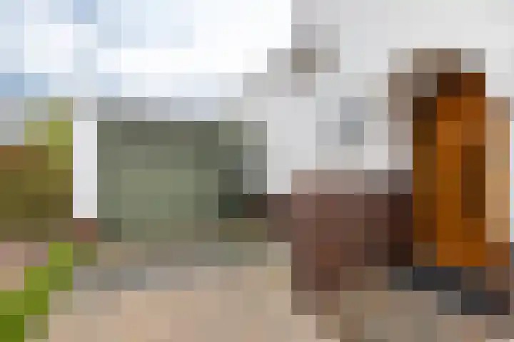 Churchillweg 44 Zoutkamp thumbnail 47