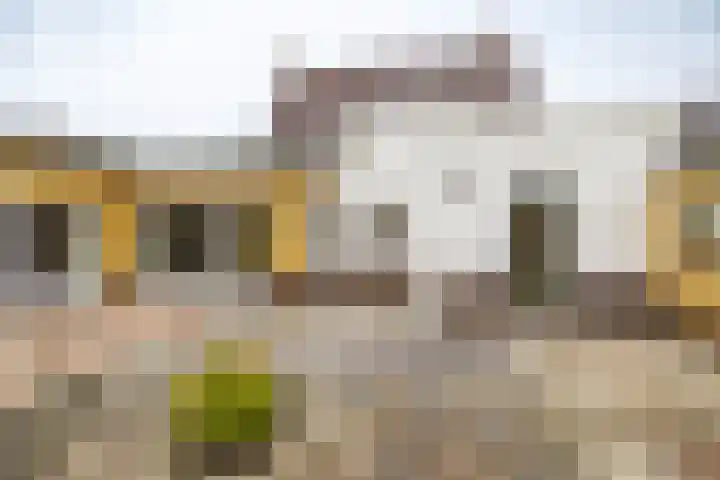 Churchillweg 44 Zoutkamp thumbnail 5