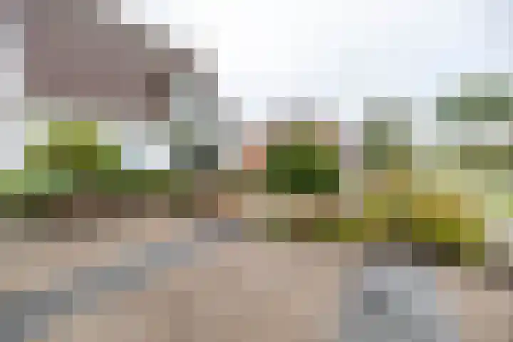 Churchillweg 44 Zoutkamp thumbnail 50