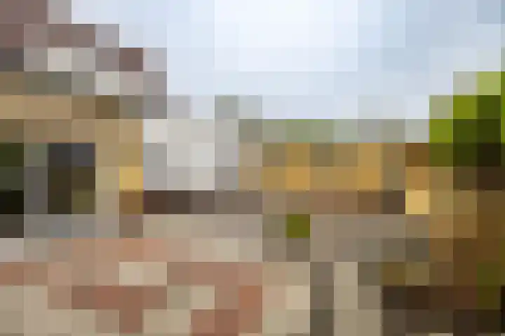 Churchillweg 44 Zoutkamp thumbnail 7