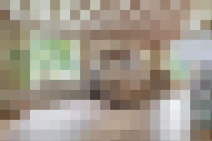 Cicerolaan 1 Venlo thumbnail 14