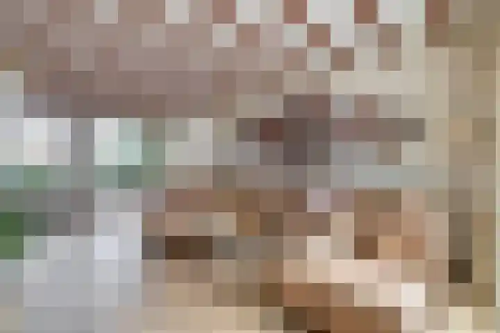Cicerolaan 1 Venlo thumbnail 15
