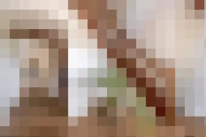 Cicerolaan 1 Venlo thumbnail 21