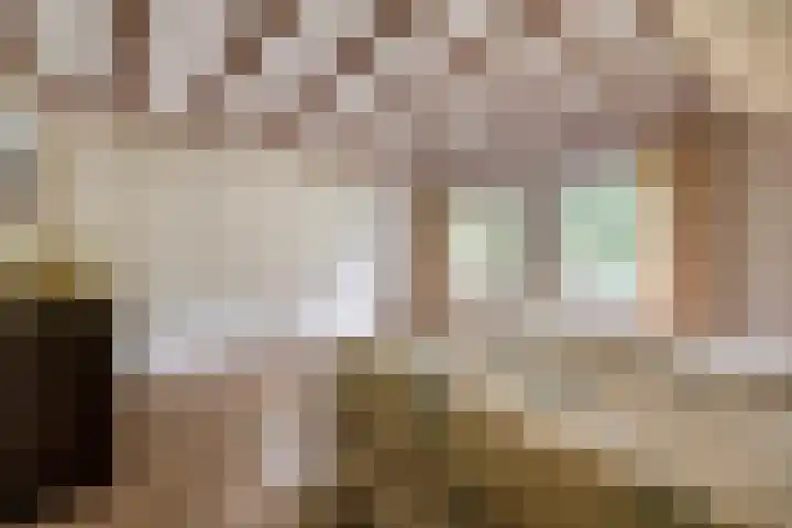 Cicerolaan 1 Venlo thumbnail 24