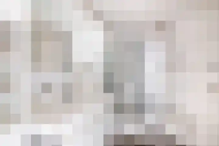 Cicerolaan 1 Venlo thumbnail 31