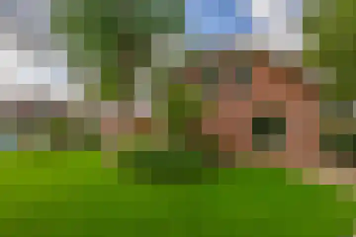 Cicerolaan 1 Venlo thumbnail 36