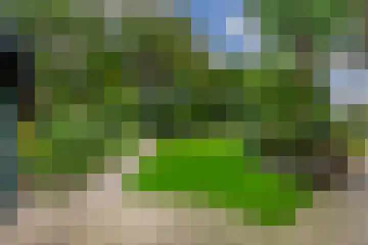 Cicerolaan 1 Venlo thumbnail 37