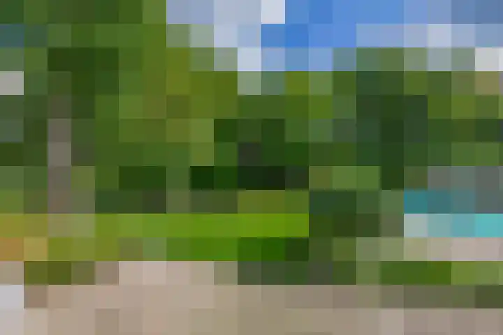 Cicerolaan 1 Venlo thumbnail 38